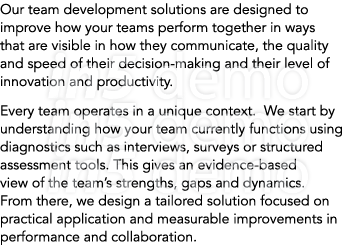 Our team development solutions are designed to improve how your teams perform together in ways that are visible in ho...