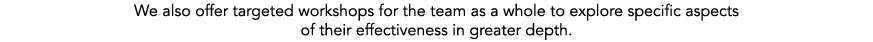 We also offer targeted workshops for the team as a whole to explore specific aspects of their effectiveness in greate...